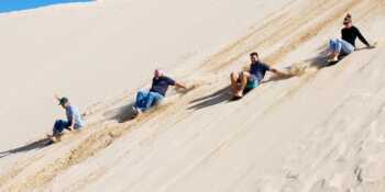 2019-weeds-conference36